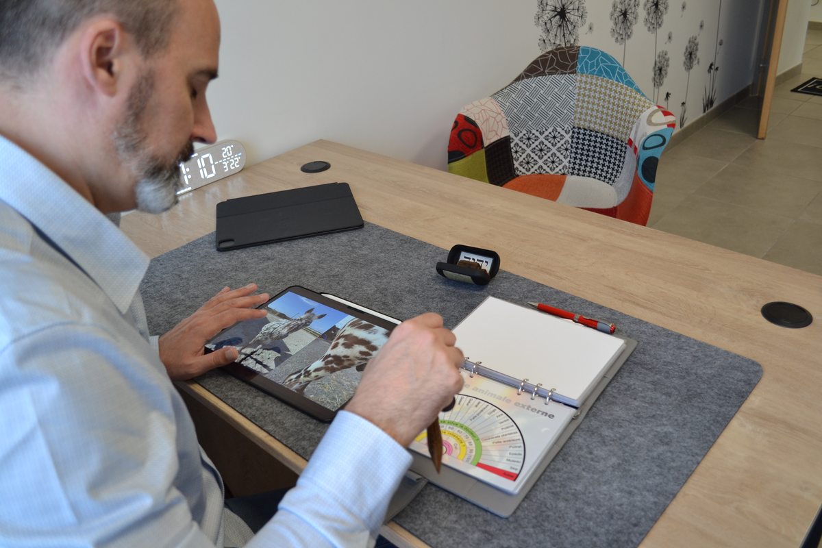 Sébastien Gossart réalisant un soin énergétique à distance pour un animal, avec pendule et tableau vibratoire